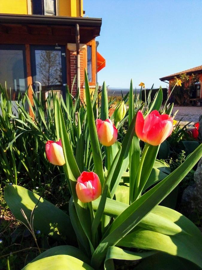Agriturismo Fior Di Maggio Pescantina Exterior photo