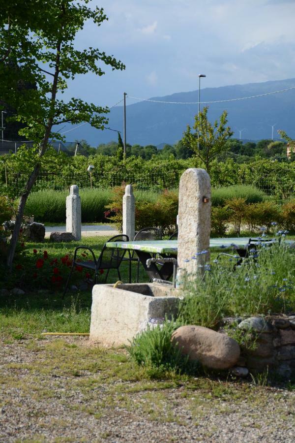 Agriturismo Fior Di Maggio Pescantina Exterior photo